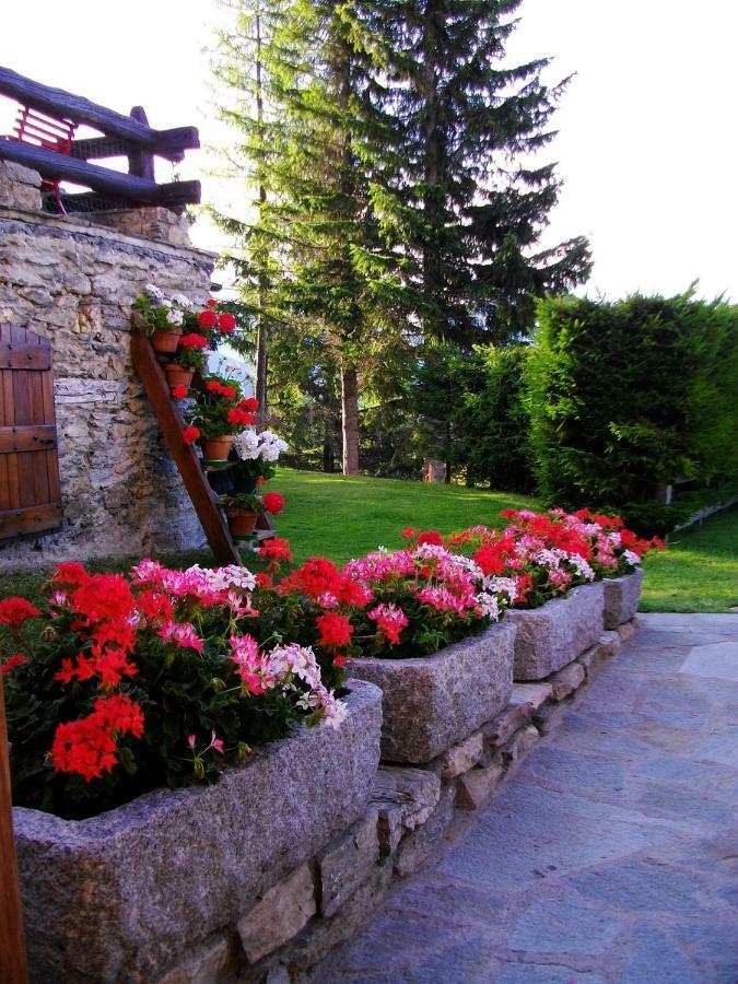 Le Petit Chateau De Vetan Cir 0023 เซนต์ ปิแอร์ ภายนอก รูปภาพ